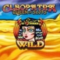 Играть в Cleopatra – Queen of Slots