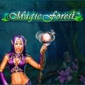 Играть в Magic Forest