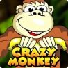 Играть в автомат Crazy Monkey